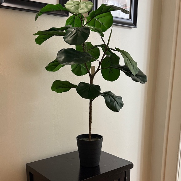 Artificial Fiddle Leaf Fig Tree in Black Pot - Picture 5 of 6